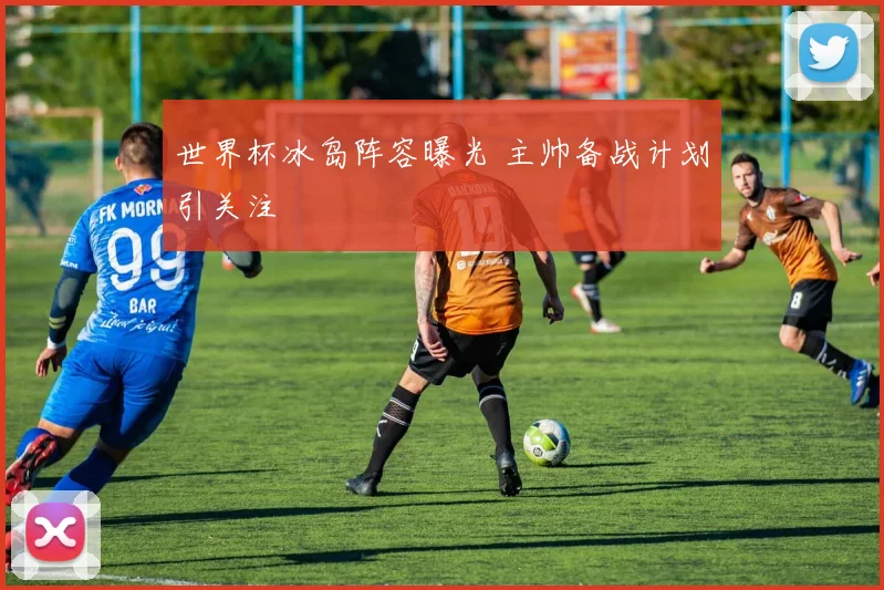 世界杯冰岛阵容曝光 主帅备战计划引关注