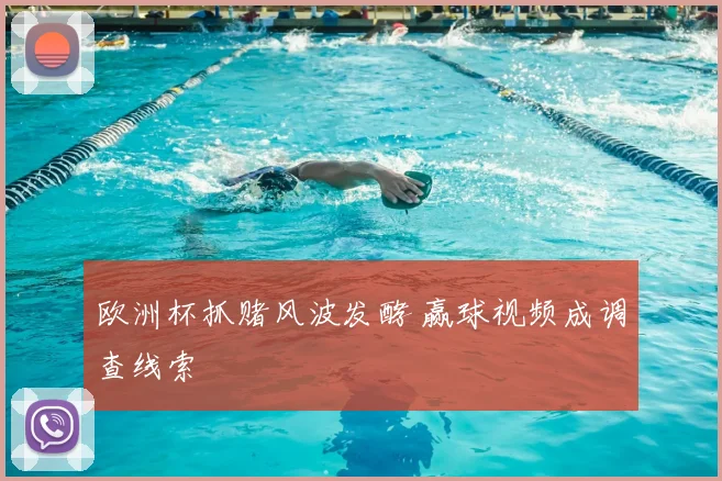 欧洲杯抓赌风波发酵 赢球视频成调查线索