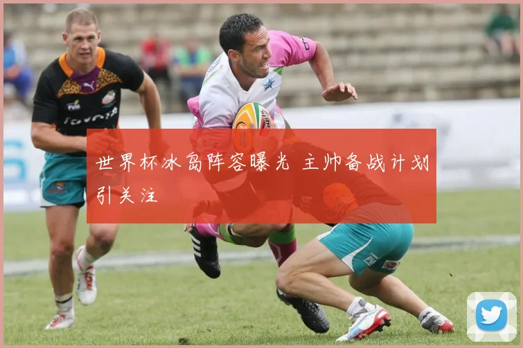 世界杯冰岛阵容曝光 主帅备战计划引关注