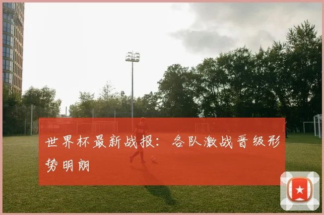 世界杯最新战报:各队激战晋级形势明朗
