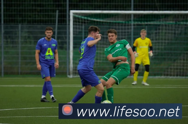 必一运动体育官网平台生态图