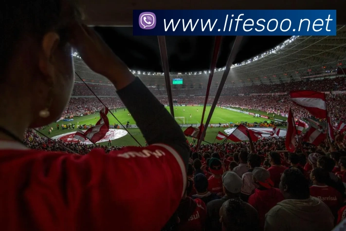 必一运动体育官网APP 封面图